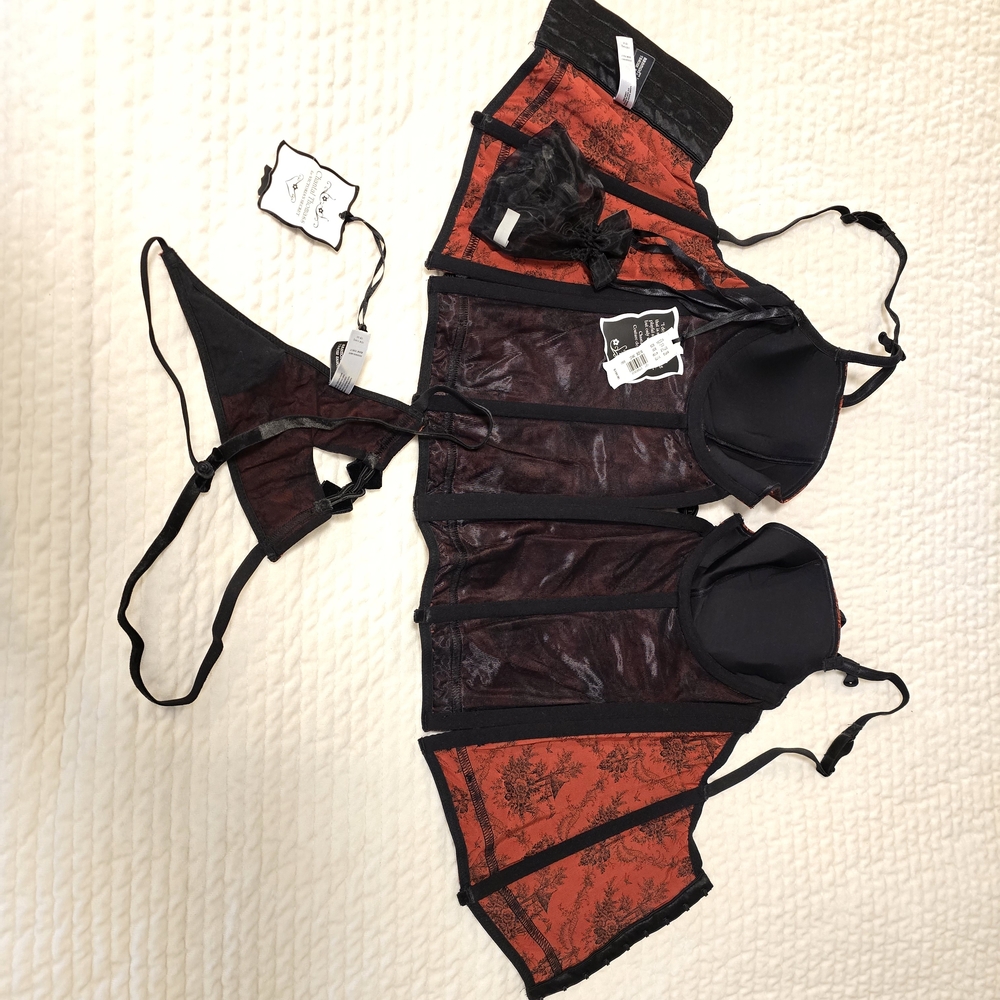 Chantal Thomas for Victoria's Secret Black and Red Brocade Lingerie Set - Picture 4 of 9